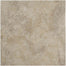Texas in Beige Tile