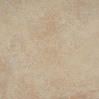 Texas in Hueso Tile