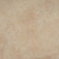 Texas in Hueso Tile