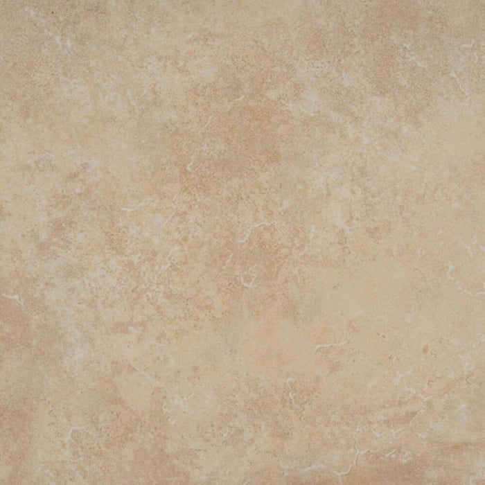 Texas in Hueso Tile