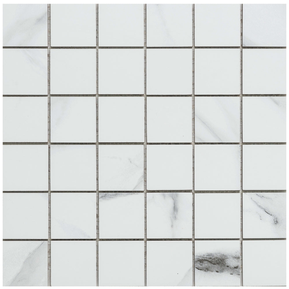 Thassos in Grey 2x2 Tile