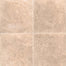 Tuscany Platinum in Beige 12x12 Natural Stone