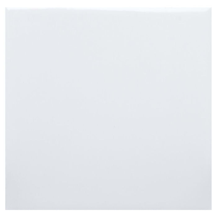 Retro BG Ice in Bright White Ice 4x4 Tile