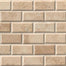 Tuscany Ivory in Tuscany Ivory - Subway 2x4 Natural Stone