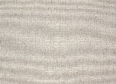 Tazo in Cloud Carpet