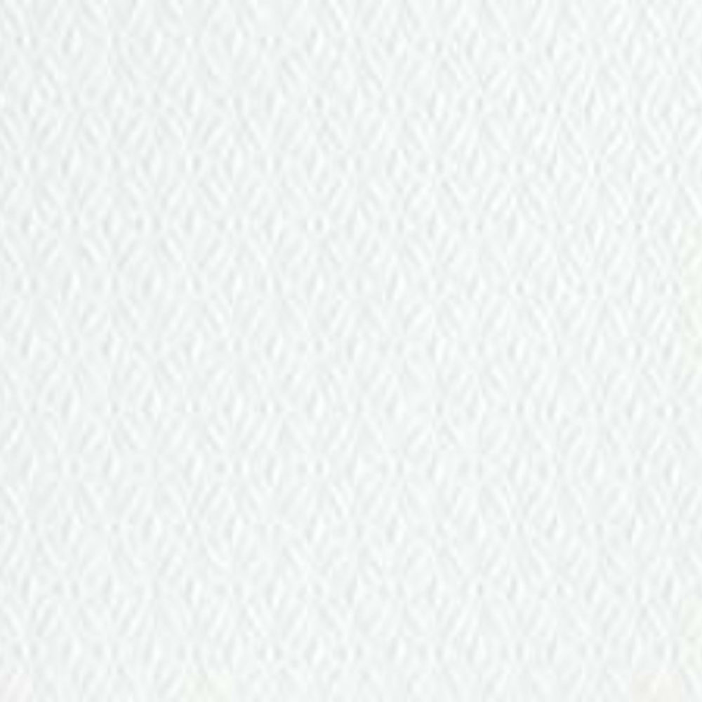 Terreno in White Bloom - 12x24 Tile