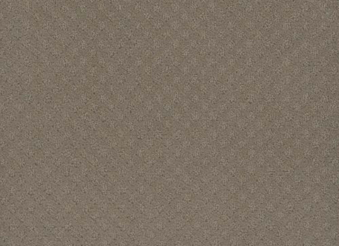CAPRI in Timber Ridge Carpet
