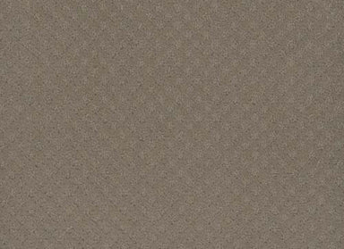 CAPRI in Timber Ridge Carpet