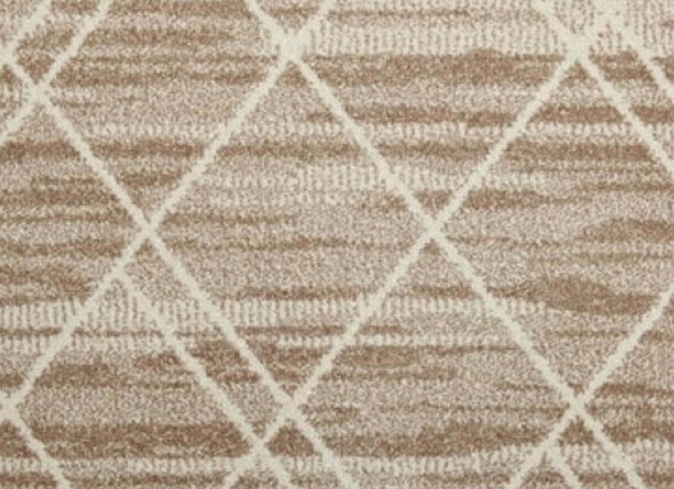 Treasures in Buff Carpet