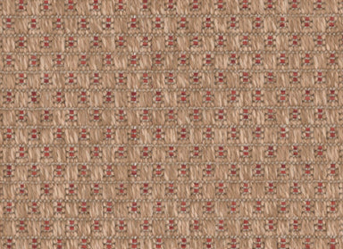 Trinidad in Calypso Carpet