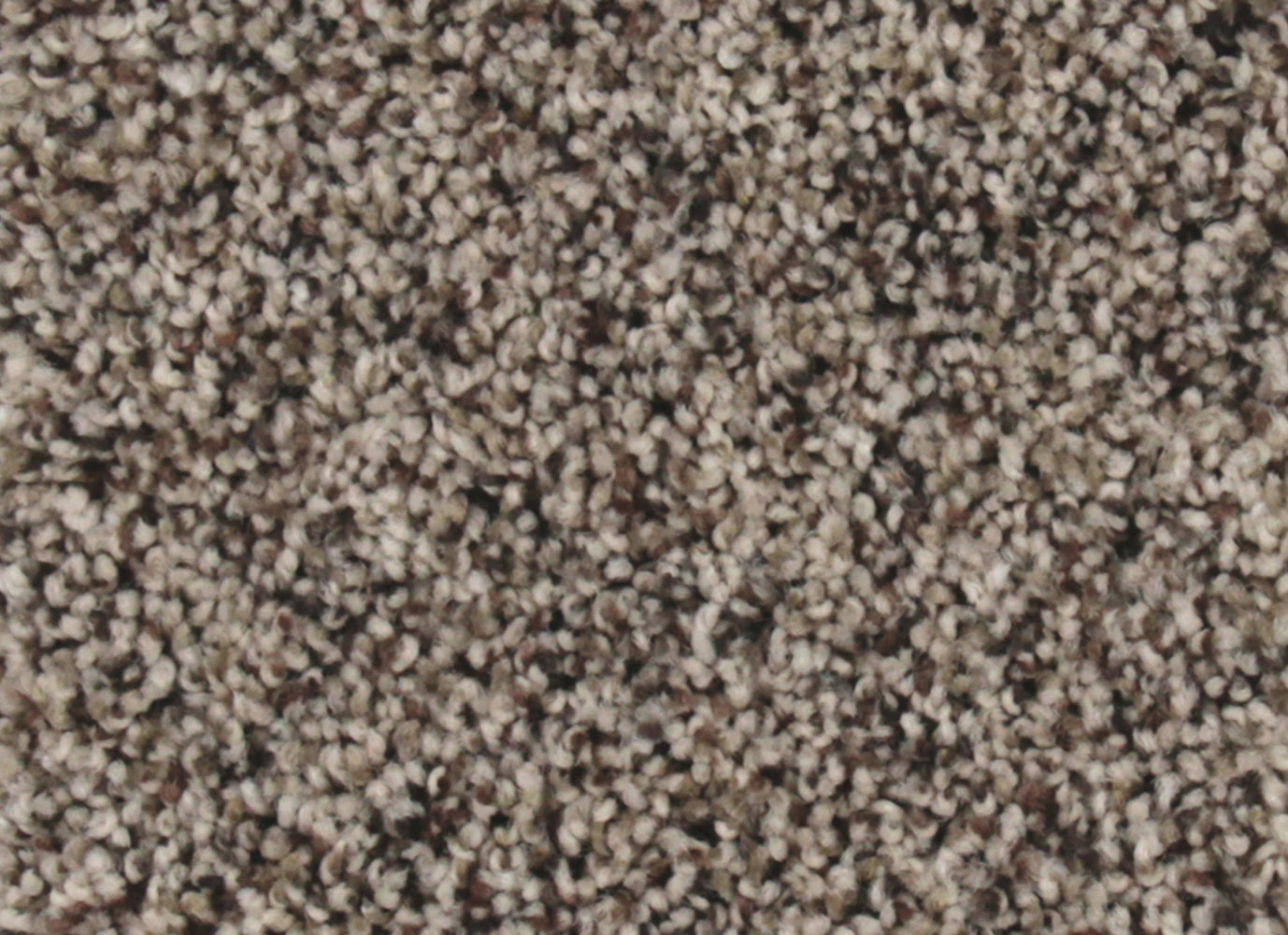 True Fashion in Organic Carpet