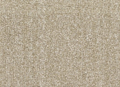 Tundra in Chaparral Carpet