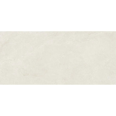 Unica in Moon 24x48 Tile