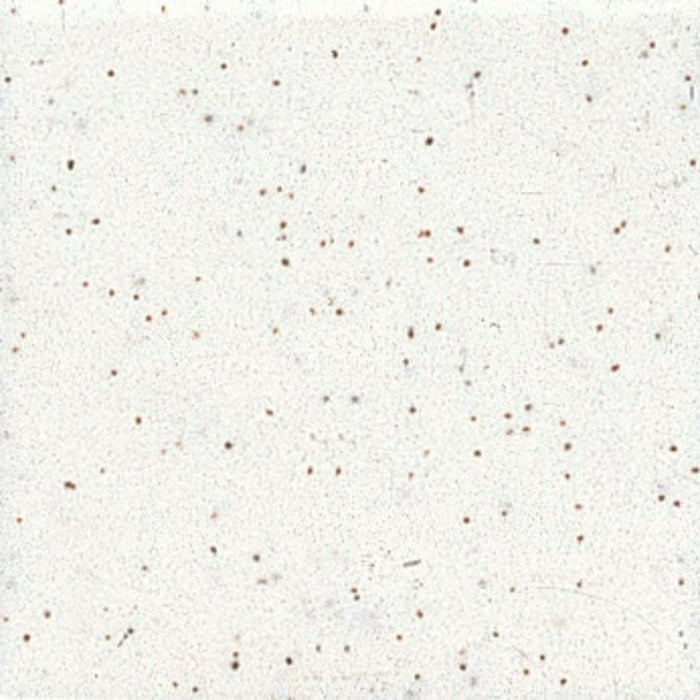 Unglazed Mosaics in Salt & Pepper-1x1 Tile