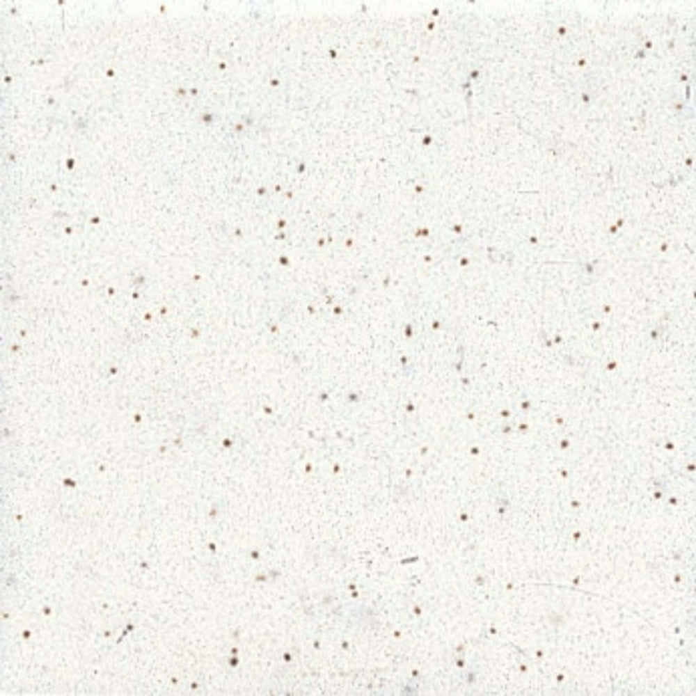 Unglazed Mosaics in Salt & Pepper Hexagon Tile