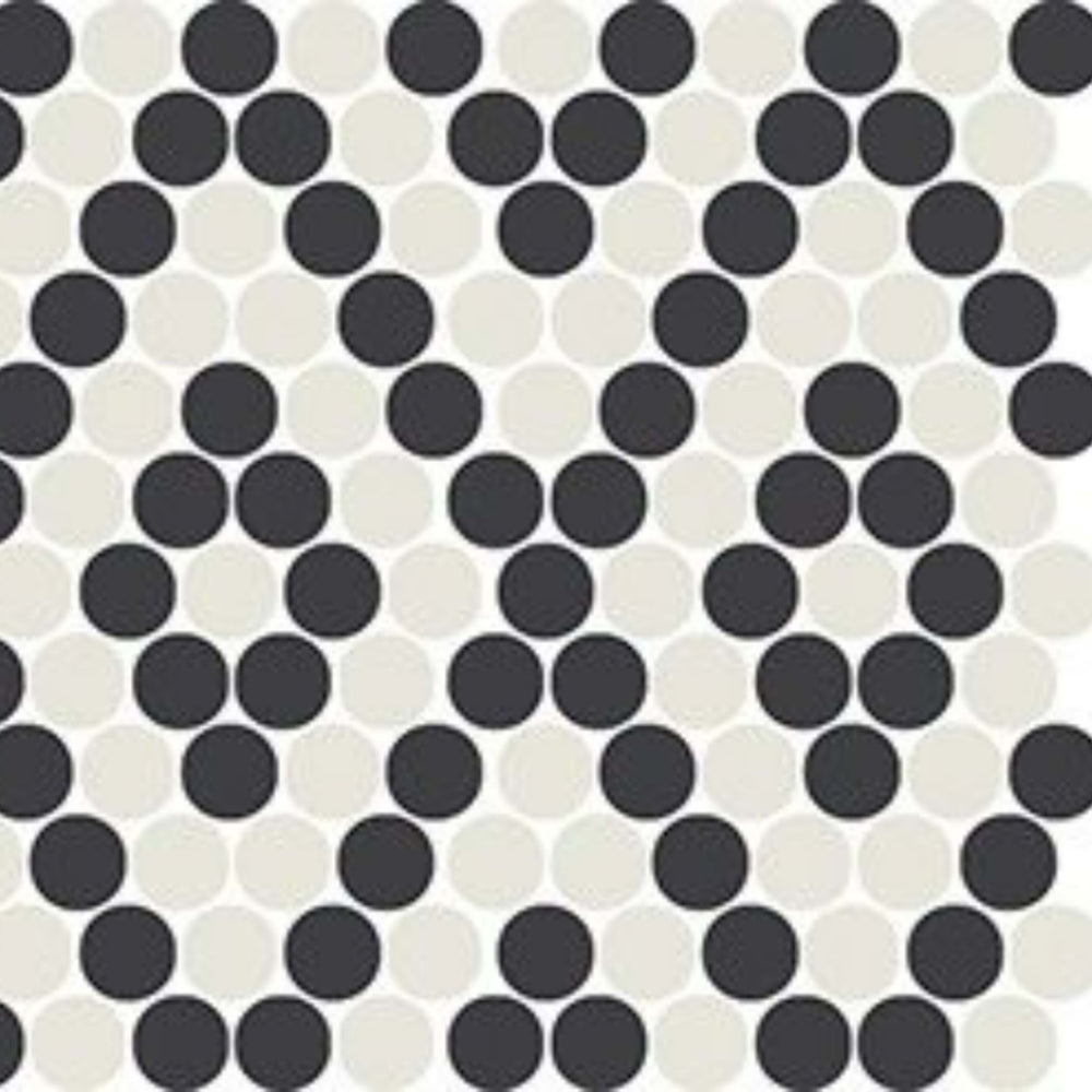 Unglazed Mosaics in Ice White/Black Penny Rounds Tile