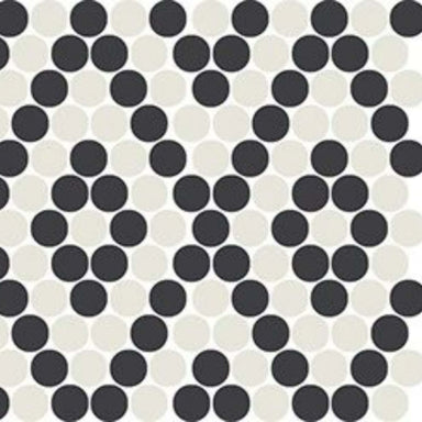 Unglazed Mosaics in Ice White/Black Penny Rounds Tile