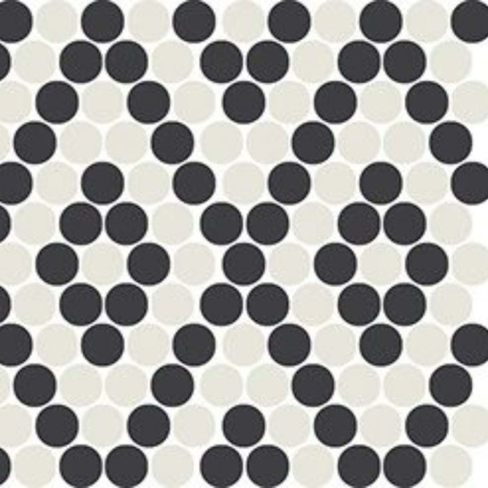 Unglazed Mosaics in Ice White/Black Penny Rounds Tile