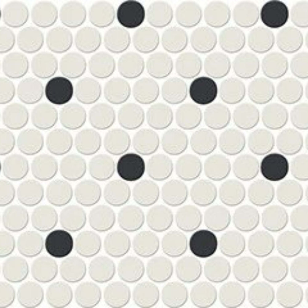 Unglazed Mosaics in Ice White/Black Penny Rounds Retro Dot Tile