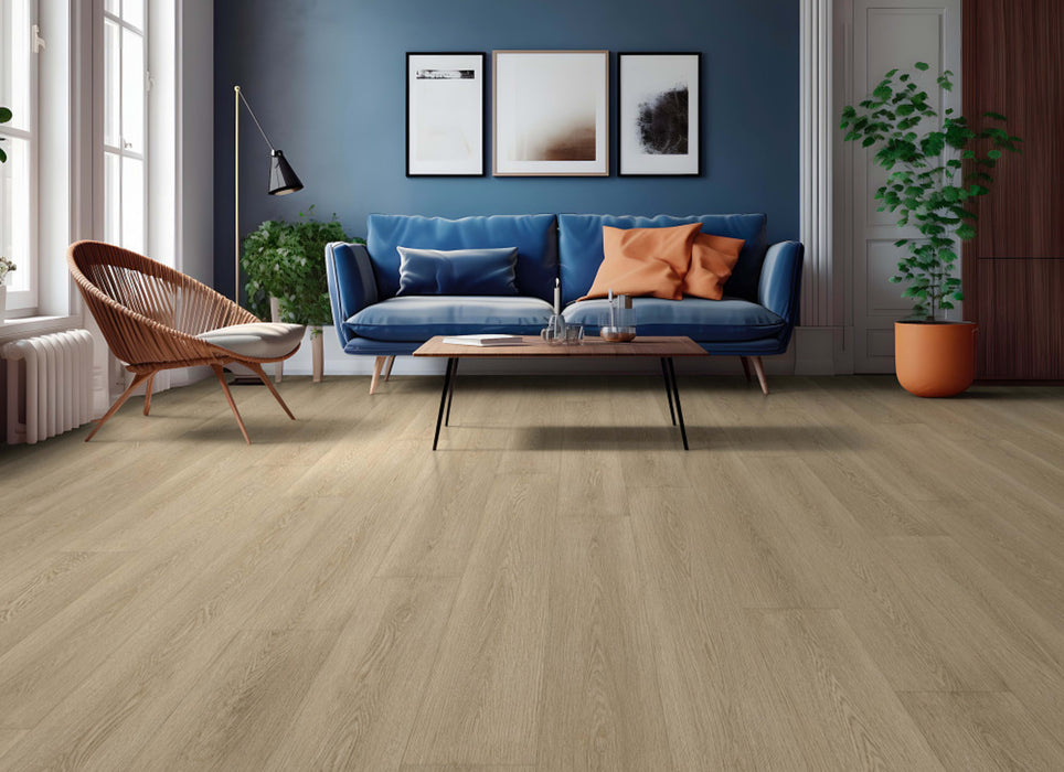 Dwell in Light Roast