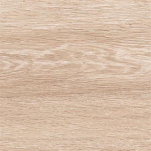 Tanzania in Taupe