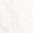 Bianco in Carrara Tile