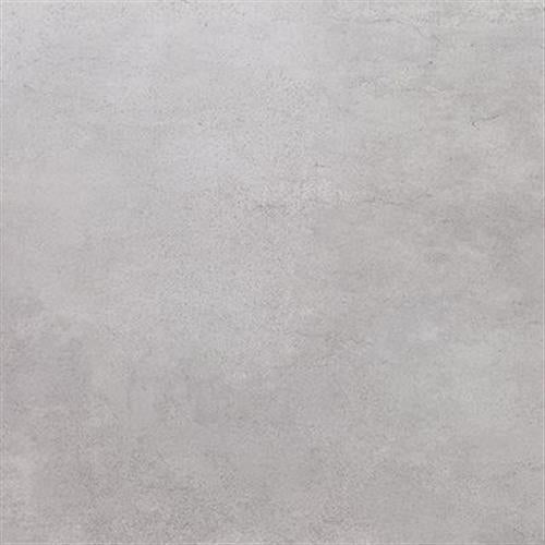 Newport in Gray Nature 24x24