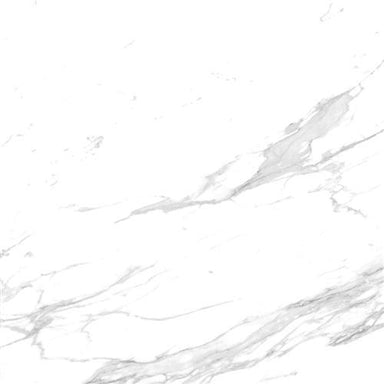 Arctic in Arctic Tile