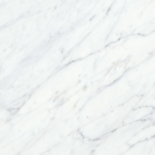 Virtue Bianco in Honed 12x24