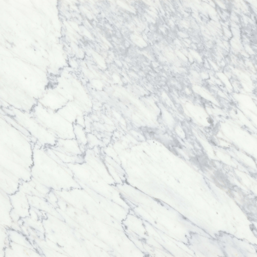 Virtue Bianco in Honed 18x36 Natural Stone