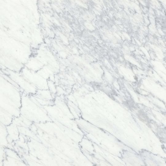 Virtue Bianco in Honed 18x36