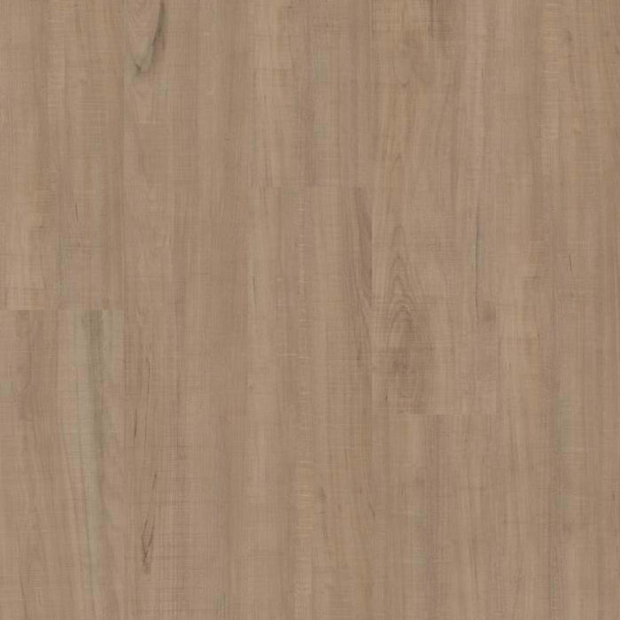 BRIO PLUS 20 in Chatter Oak Luxury Vinyl