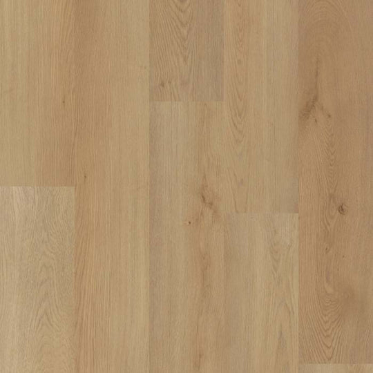 BRIO PLUS 20 in River Bend Oak