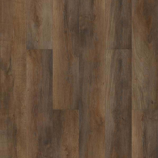 BRIO PLUS 20 in Highlight Oak