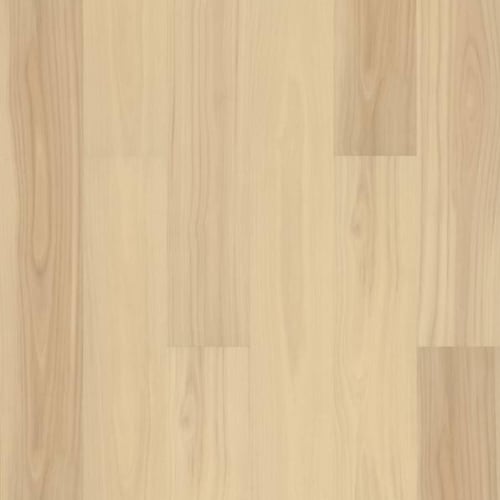 SUPINO HD+NATURAL BEVEL in Marzipan