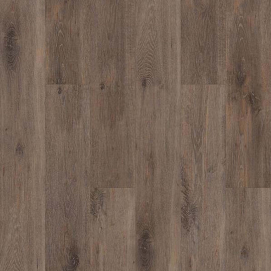 PRIDE PLUS ACCENT SPC in Chapman