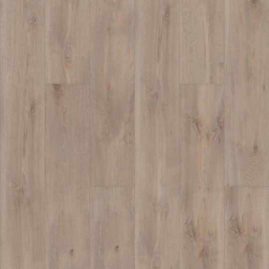 PRIDE PLUS ACCENT SPC in Ryman