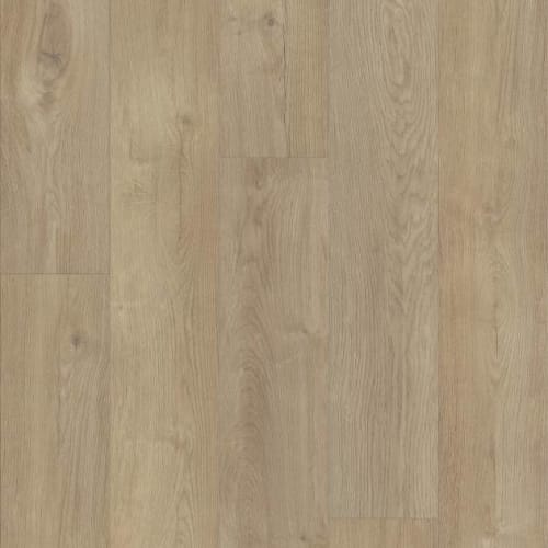 ARISTOCRAT HD+ PLATINUM in Essential White