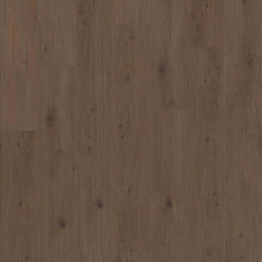 HOMESTEAD in Tuxedo Bronze