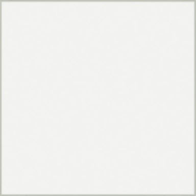 Vetri in Bianco - 8x24 Tile