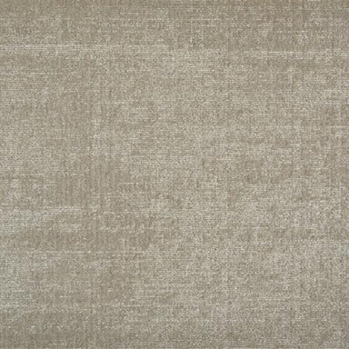 Vinaya in Putty Carpet