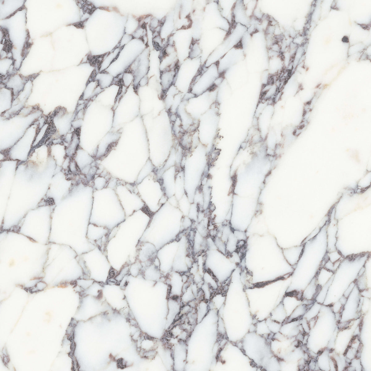 Viola Roccia in Honed 12x24 Natural Stone — Atlanta Flooring Design Centers