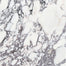 Viola Roccia in Picket Honed 24in Natural Stone
