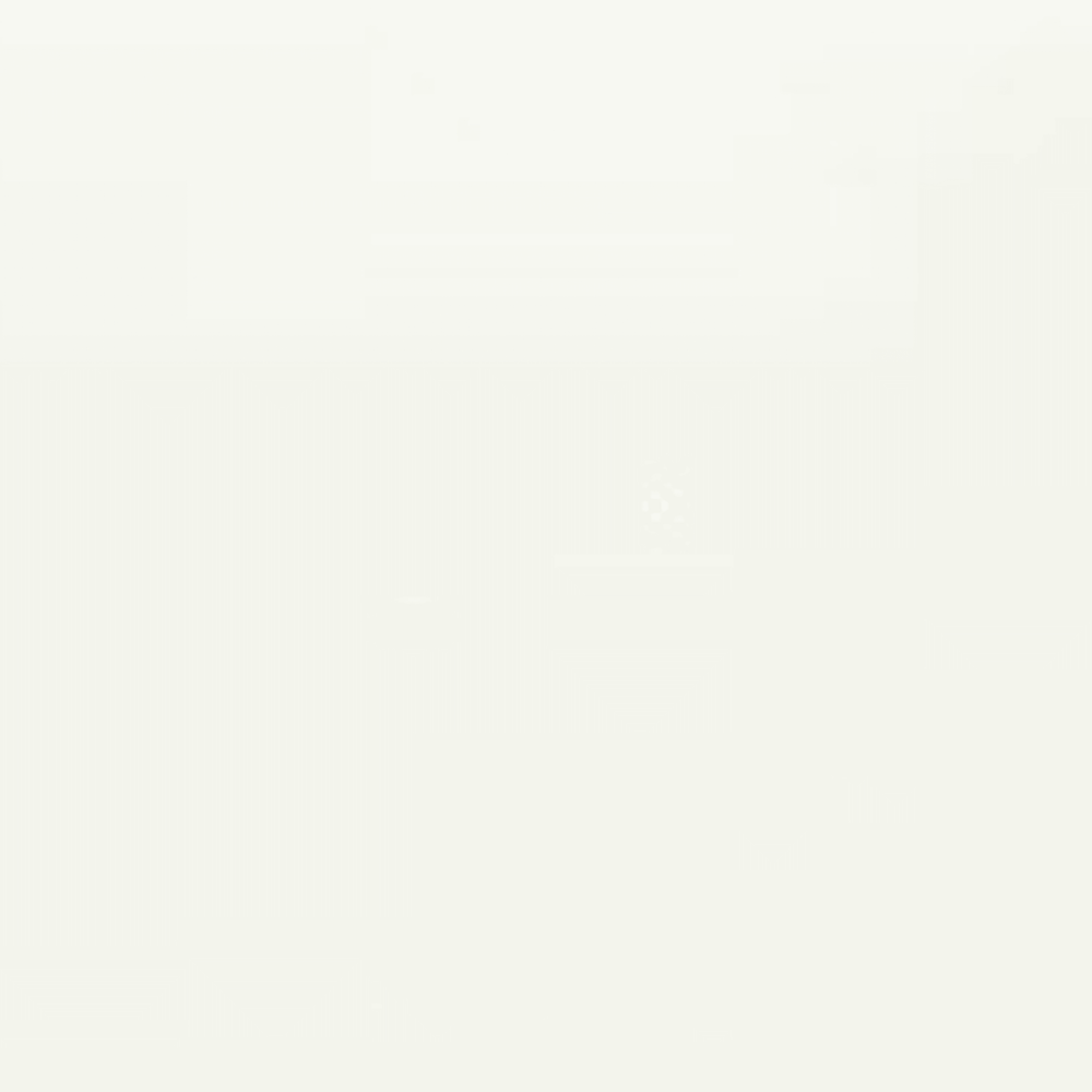 Visual Impressions in White Rectangle Tile