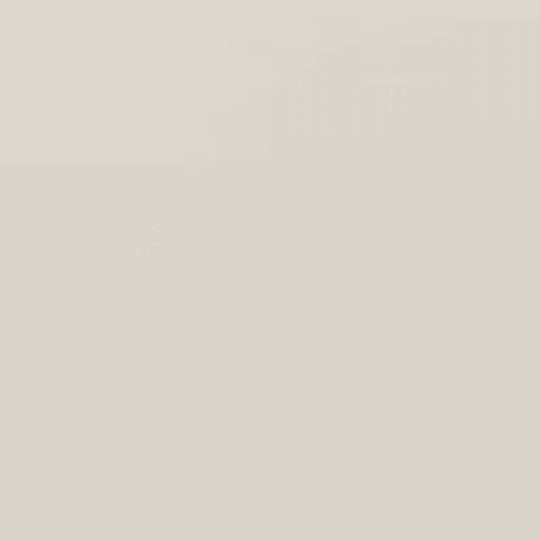 Visual Impressions in Gray Rectangle