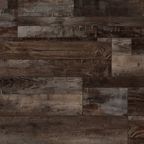 XL Cyrus in Bembridge