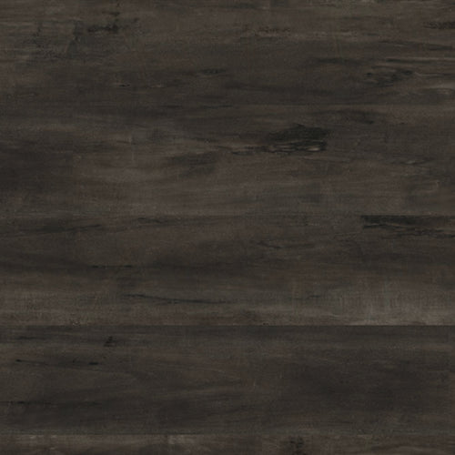 XL Cyrus in Billingham