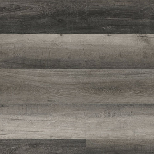 XL Cyrus in Bracken Hill