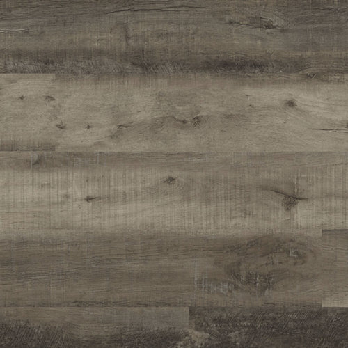 XL Cyrus in Wolfeboro