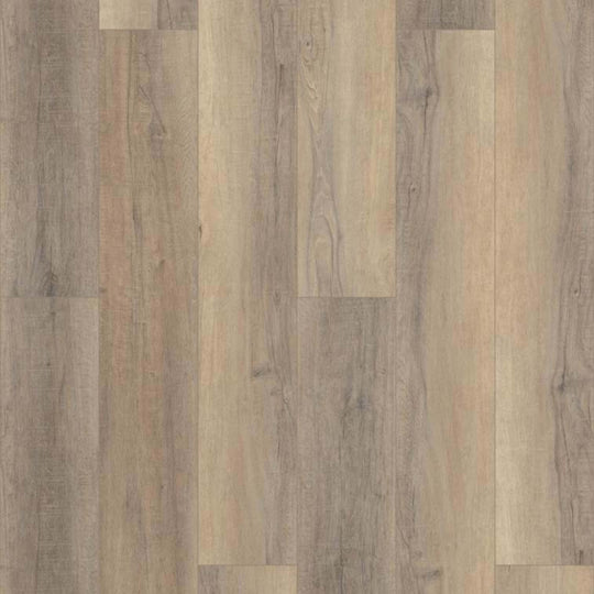 CORETEC PRO ENHANCED VV488 in Bastion Elm